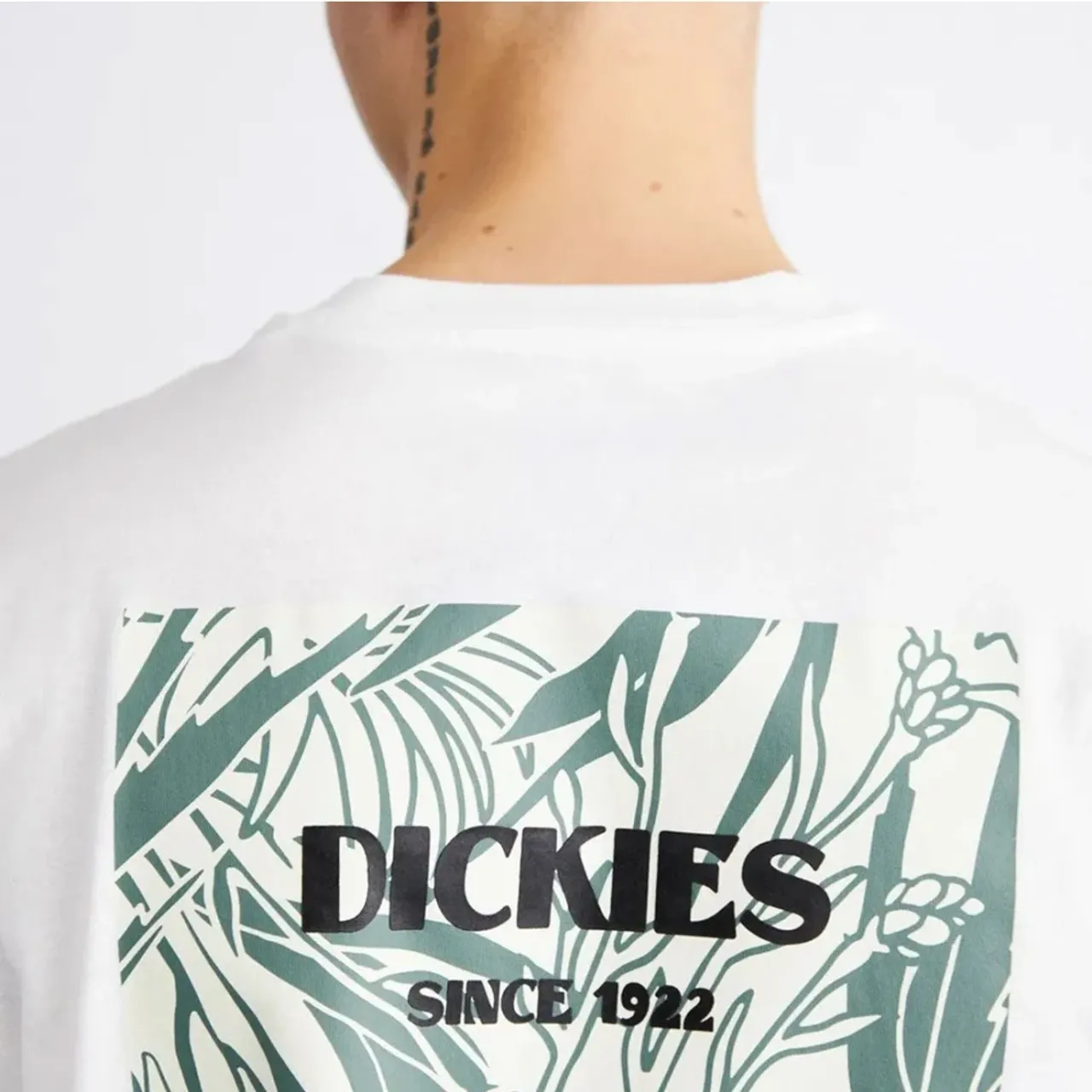 Dickies , T-Shirts ,White male, Sizes: