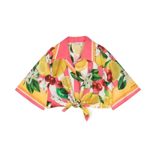 Dolce & Gabbana , Dolce & Gabbana Kids Shirts MultiColour ,Multicolor female, Sizes: