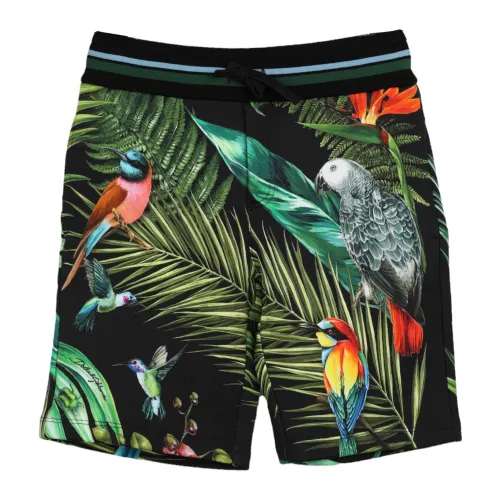 Dolce & Gabbana , Kids Bermuda Shorts ,Multicolor male, Sizes: