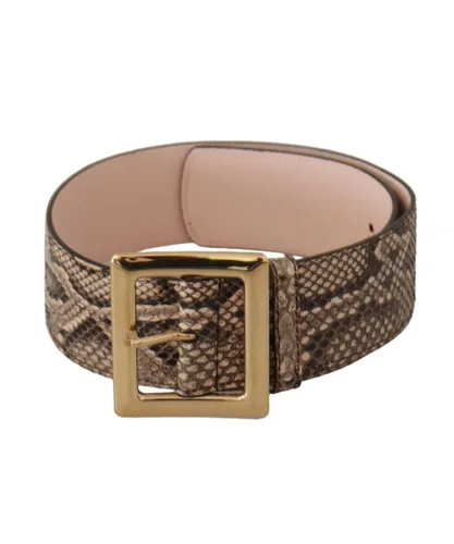 Dolce & Gabbana WoMens Beige Exotic Leather Wide Gold Metal Buckle Belt - Brown