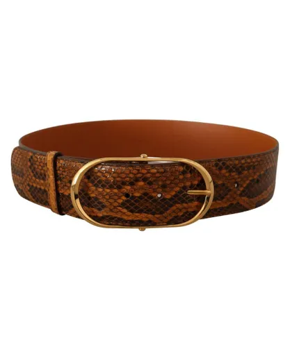 Dolce & Gabbana WoMens Brown Exotic Leather Gold Oval Buckle Belt