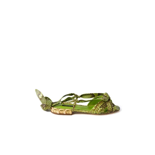 Dolce & Gabbana , Womens Snake Sandals ,Green female, Sizes: