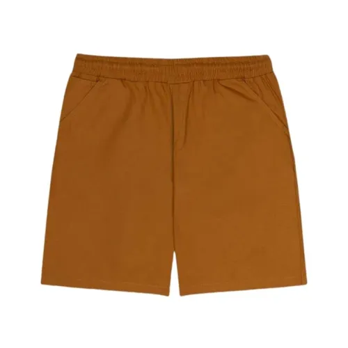 Dolly Noire , Stylish Bermuda Shorts ,Brown male, Sizes: