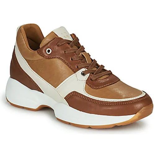 Dream in Green  AGAPANTHE  women's Shoes (Trainers) in Brown