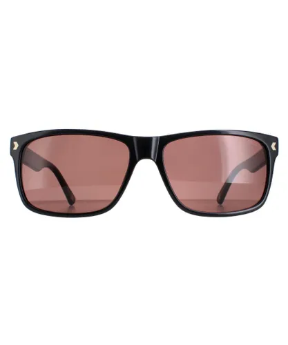 Duck and Cover Mens Sunglasses DCS026 C1 Black Brown - One