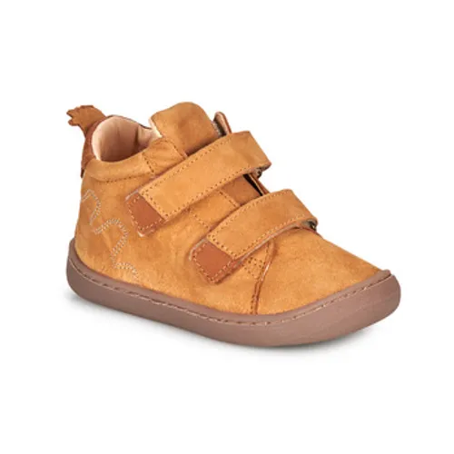 Easy Peasy  MY FLEXOO VELCRO  boys's Children's Shoes (High-top Trainers) in Brown