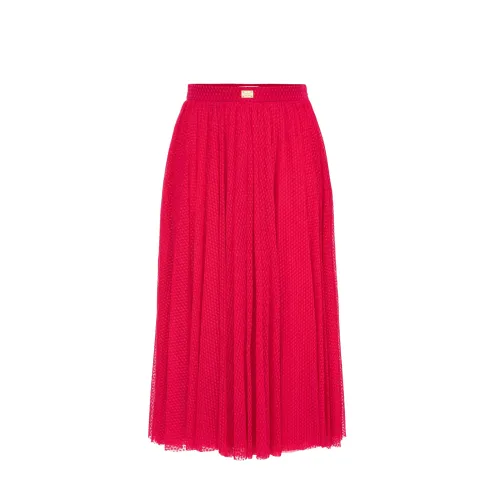 Elisabetta Franchi , Embroidered Tulle Midi Skirt ,Pink female, Sizes: