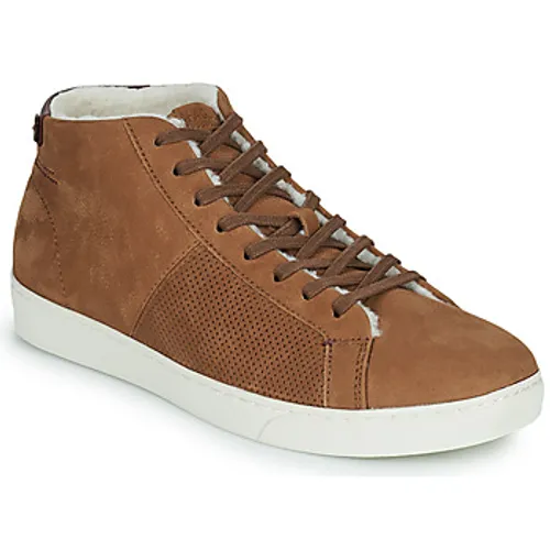 Faguo  ASPEN  men's Shoes (High-top Trainers) in Brown