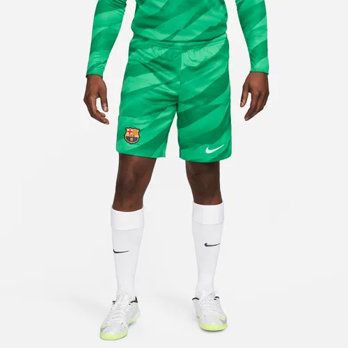 F.C. Barcelona 2023/24 Stadium Goalkeeper Men's Nike Dri-FIT Football Shorts - Green - Polyester