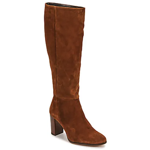 Fericelli  PINO  women's High Boots in Brown