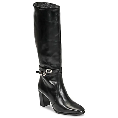 Fericelli  PLIET  women's High Boots in Black