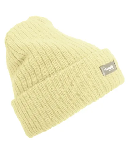 FLOSO Womens/Ladies Rib Knit Thinsulate Winter Hat (Cream) - One