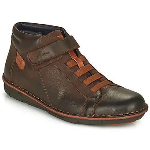 Fluchos  ALFA  men's Shoes (High-top Trainers) in Brown