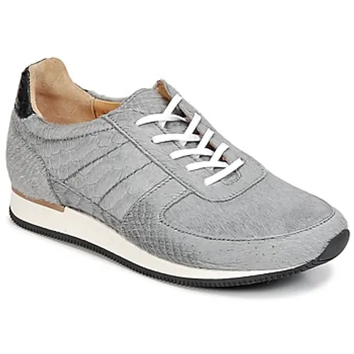 Fred de la Bretoniere  JACQUES  women's Shoes (Trainers) in Grey