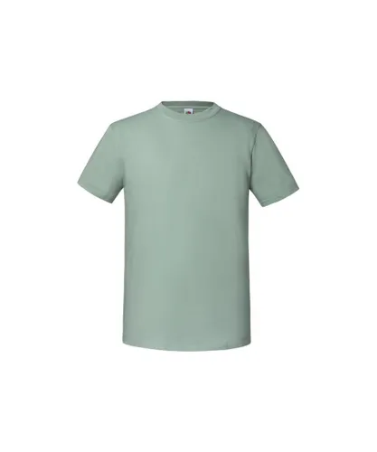 Fruit of the Loom Mens Iconic Premium Ringspun Cotton T-Shirt (Sage) - Grey