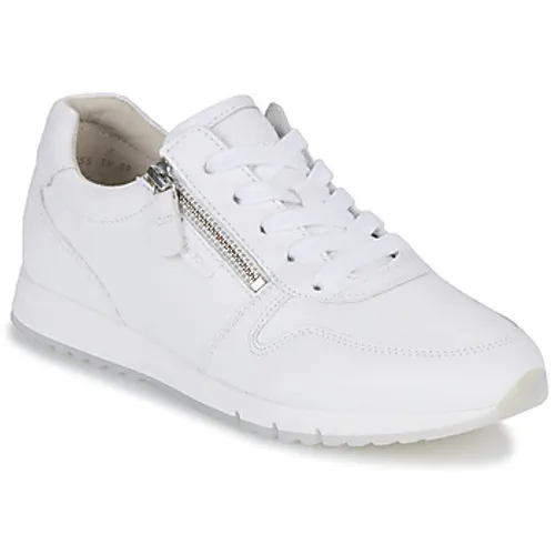 Gabor  2345021  women's Shoes (Trainers) in White