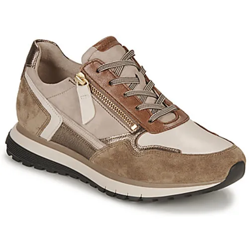 Gabor  3637855  women's Shoes (Trainers) in Brown