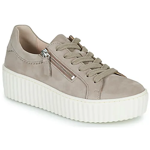 Gabor  8320012  women's Shoes (Trainers) in Beige