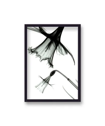 Gallery Print & Art Daffodil Aquarelle XRay - Black Frame Wood - One