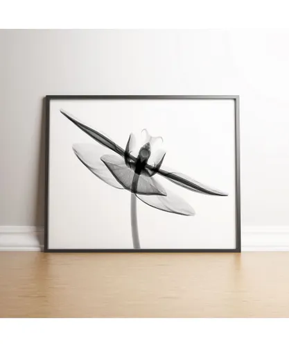 Gallery Print & Art Orchid Flower Aquarelle XRay B - Black frame Wood - One