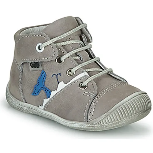 GBB  ABRICO  boys's Children's Shoes (High-top Trainers) in Grey