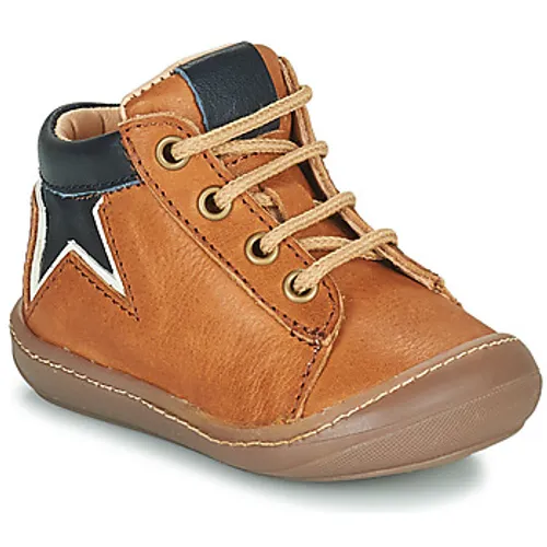 GBB  AGONINO  boys's Children's Shoes (High-top Trainers) in Brown