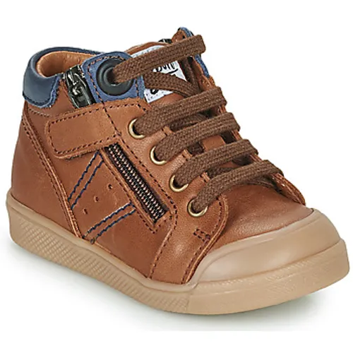 GBB  ANATOLE  boys's Children's Shoes (High-top Trainers) in Brown