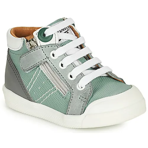 GBB  ANATOLE  boys's Children's Shoes (High-top Trainers) in Green