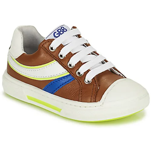 GBB  BATINO  boys's Children's Shoes (Trainers) in Brown