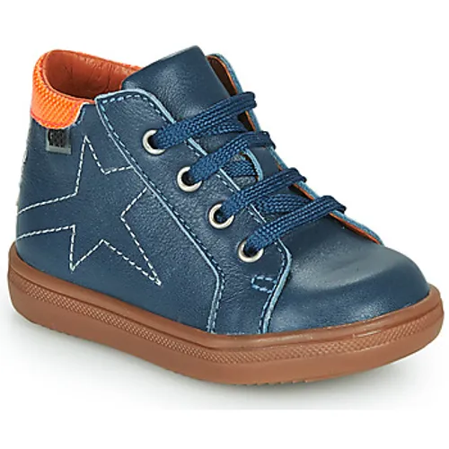 GBB  DOMINICO  boys's Children's Shoes (High-top Trainers) in Blue