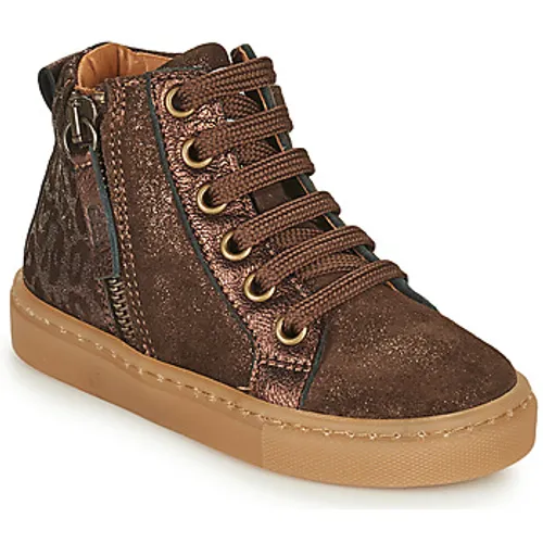 GBB  FIONA  girls's Children's Shoes (High-top Trainers) in Brown
