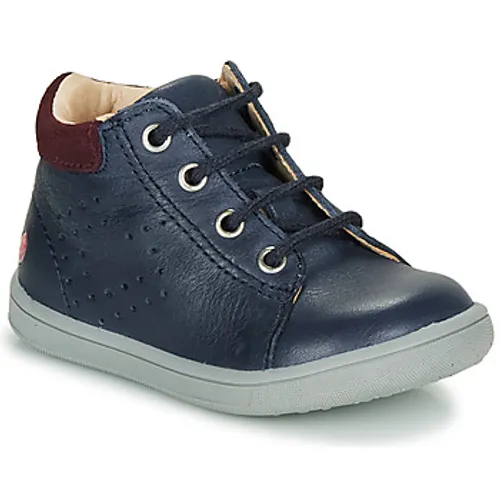 GBB  FOLLIO  boys's Children's Shoes (High-top Trainers) in Blue