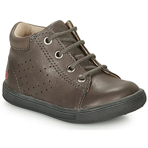 GBB  FOLLIO  boys's Children's Shoes (High-top Trainers) in Grey