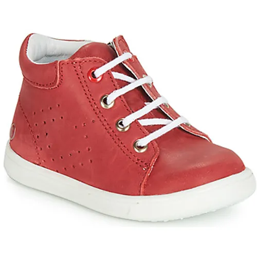 GBB  FOLLIO  boys's Children's Shoes (High-top Trainers) in Red