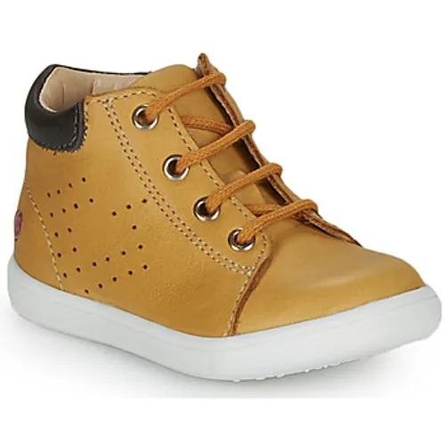 GBB  FOLLIO  boys's Children's Shoes (High-top Trainers) in Yellow