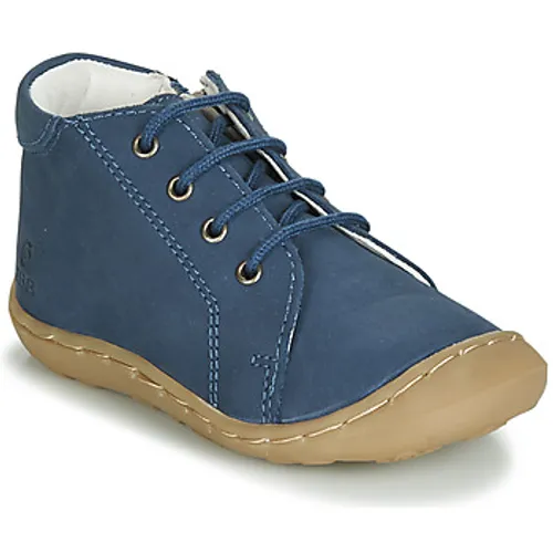 GBB  FREDDO  boys's Children's Shoes (High-top Trainers) in Blue