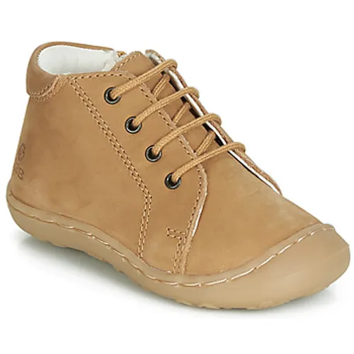 GBB  FREDDO  boys's Children's Shoes (High-top Trainers) in Brown