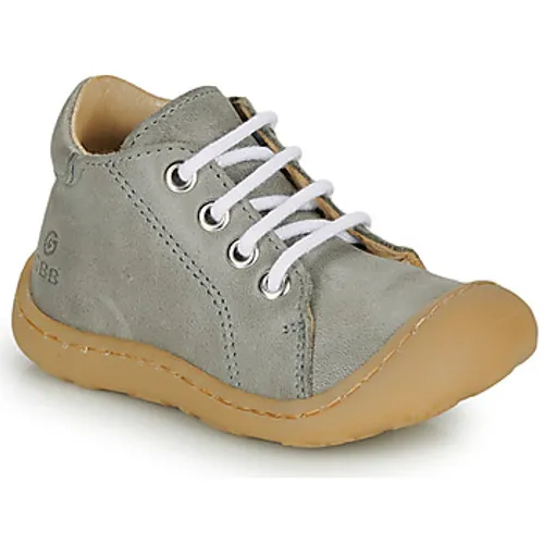GBB  FREDDO  boys's Children's Shoes (High-top Trainers) in Grey