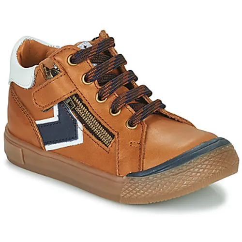 GBB  GLORY  boys's Children's Shoes (High-top Trainers) in Brown
