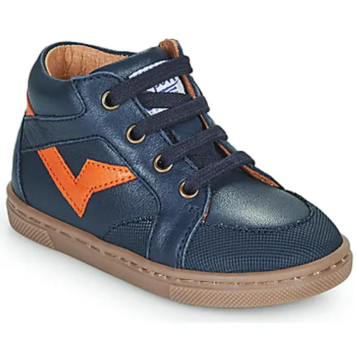 GBB  HEDDY  boys's Children's Shoes (High-top Trainers) in Marine
