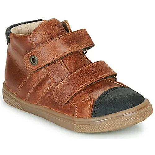 GBB  KERWAN  boys's Children's Shoes (High-top Trainers) in Brown