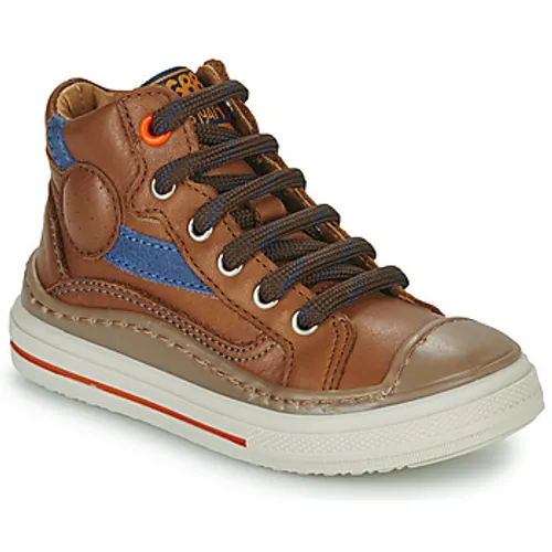 GBB  LAGO  boys's Children's Shoes (High-top Trainers) in Brown