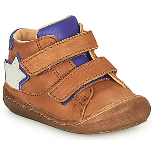 GBB  LANOU  boys's Children's Shoes (High-top Trainers) in Brown