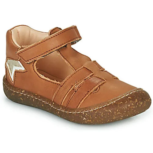 GBB  LIROY  boys's Children's Shoes (High-top Trainers) in Brown