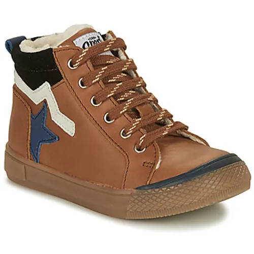 GBB  NEFER  boys's Children's Shoes (High-top Trainers) in Brown