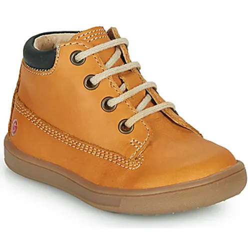 GBB  NORMAN  boys's Children's Shoes (High-top Trainers) in Brown