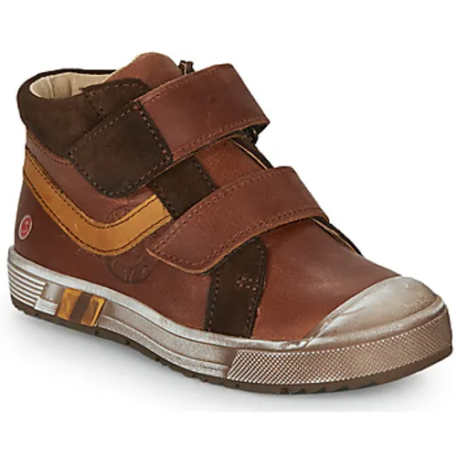 GBB  OMALLO  boys's Children's Shoes (High-top Trainers) in Brown