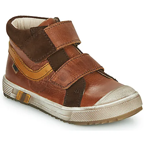 GBB  OMALLO  boys's Children's Shoes (High-top Trainers) in Brown