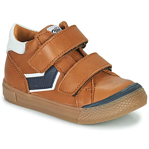 GBB  ONDINO  boys's Children's Shoes (High-top Trainers) in Brown