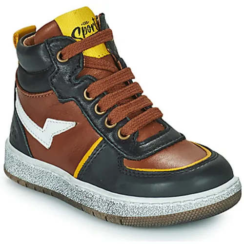 GBB  PIAVA  boys's Children's Shoes (High-top Trainers) in Brown